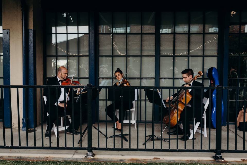 String Trio outdoor wedding