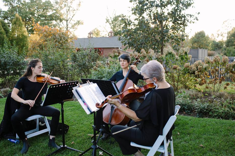 String Trio outdoor wedding