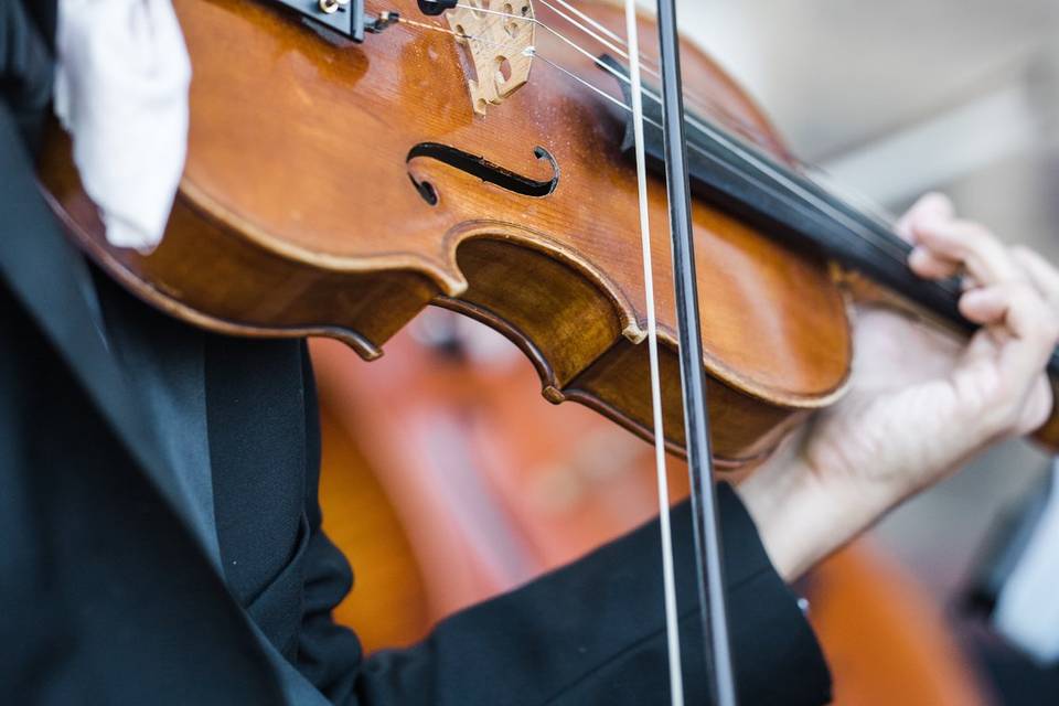 String Trio