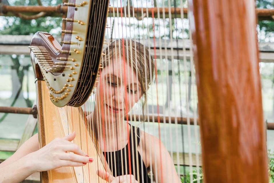Harpist for wedding
