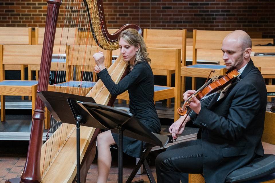 Harp and Violin Duo