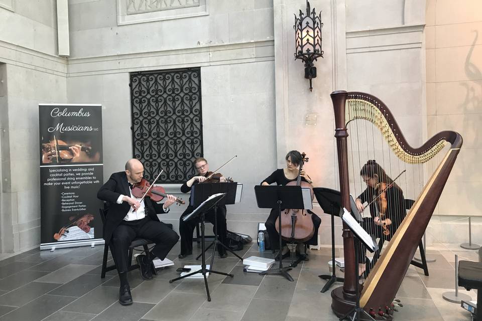 String Quartet at Art Museum
