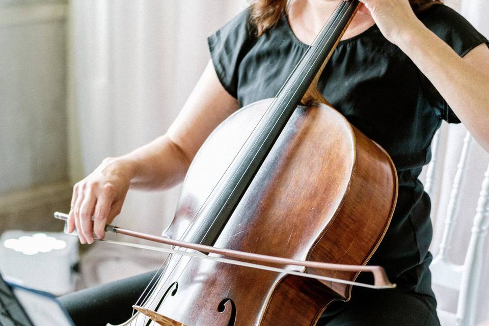 Cello