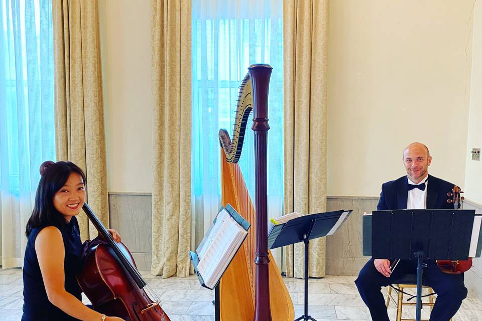 Harp, violin and cello trio