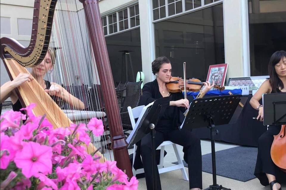 Harp Trio at Scioto Reserve CC