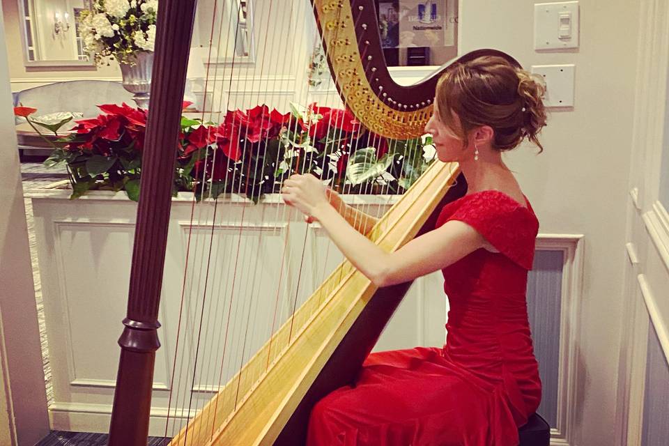 Harp solo during dinner