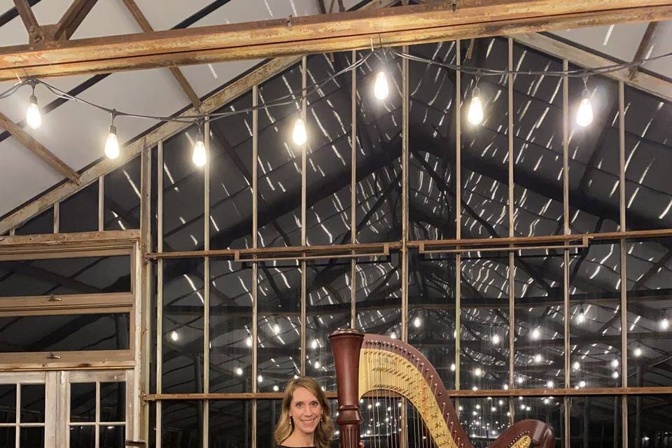 Harp solo at Oak Grove