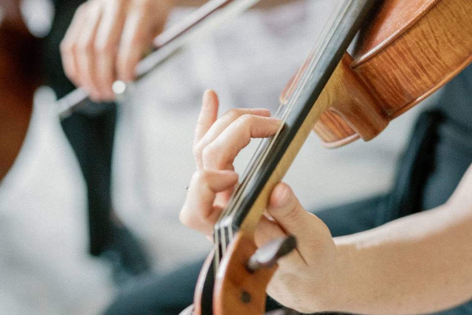 Harp and violin duo