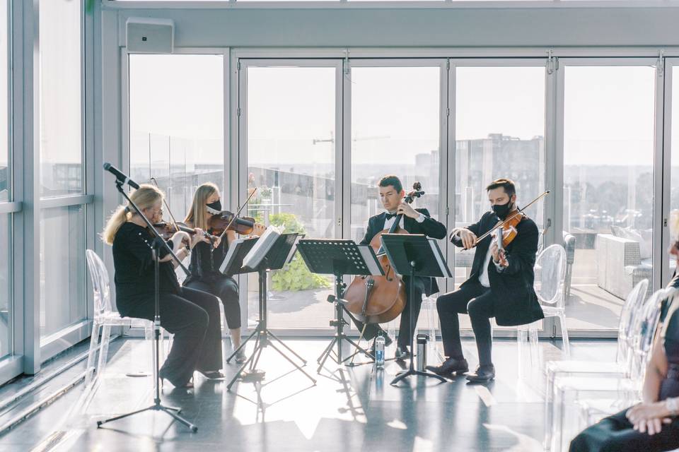 String Quartet