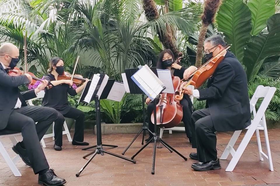 String Quartet at FPC