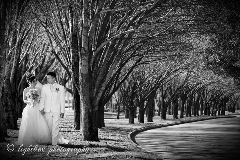 Lightbox Photography