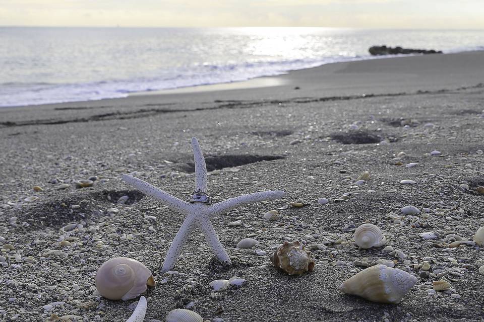 Pamela Strong Photography