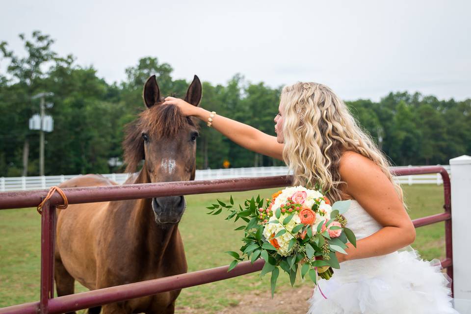 Caroline Jarvis Photography