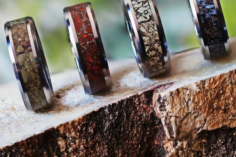 Dinosaur bone inlay rings