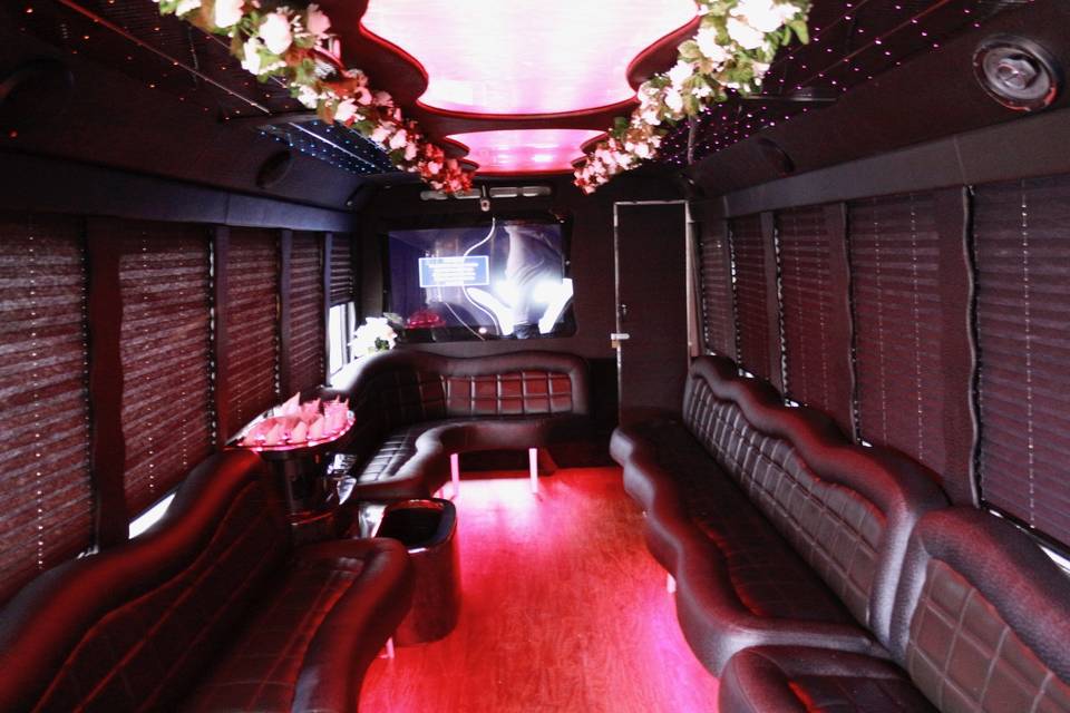 5 Star Limo Party Bus Chicago Trolley