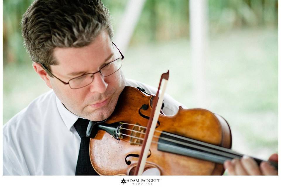 AFFORDABLE VIOLINIST - Chris Dooley