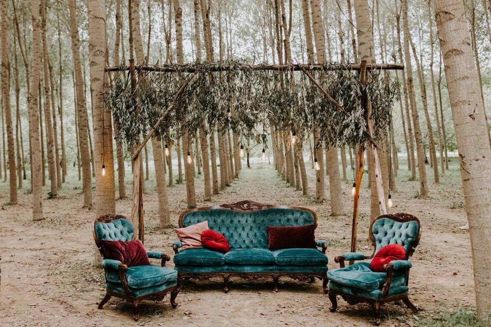 Sofas in the woods