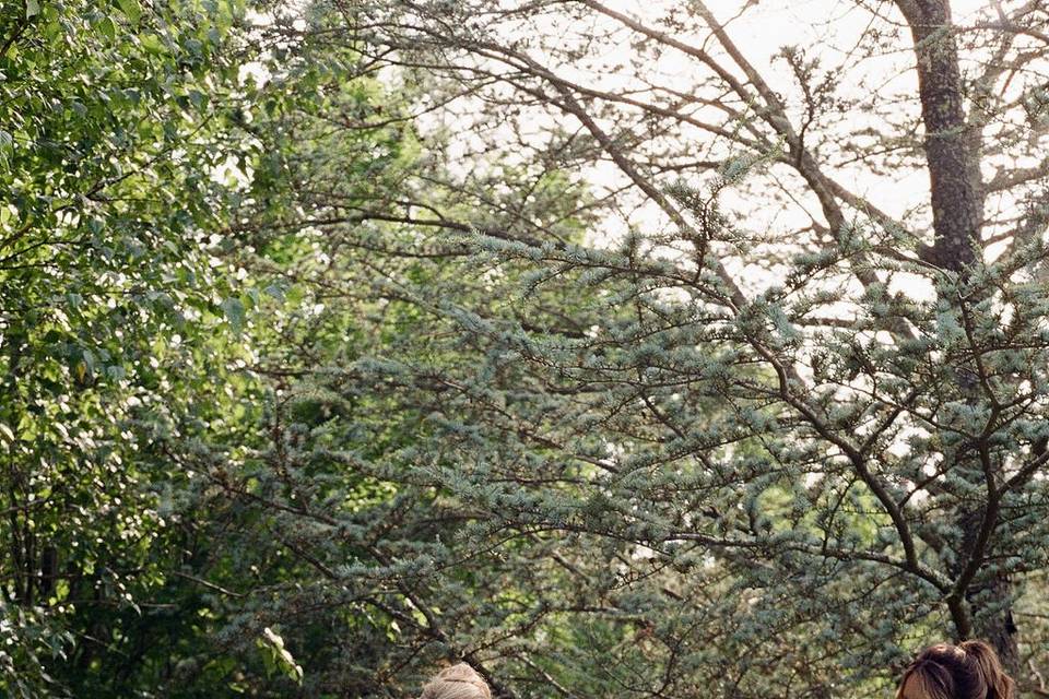The Gardens