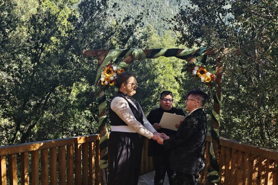 Big bear fun