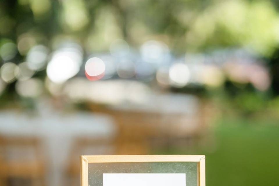 Capture the love table sign
