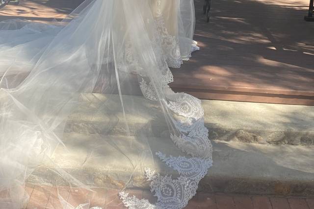 Beautiful bride
