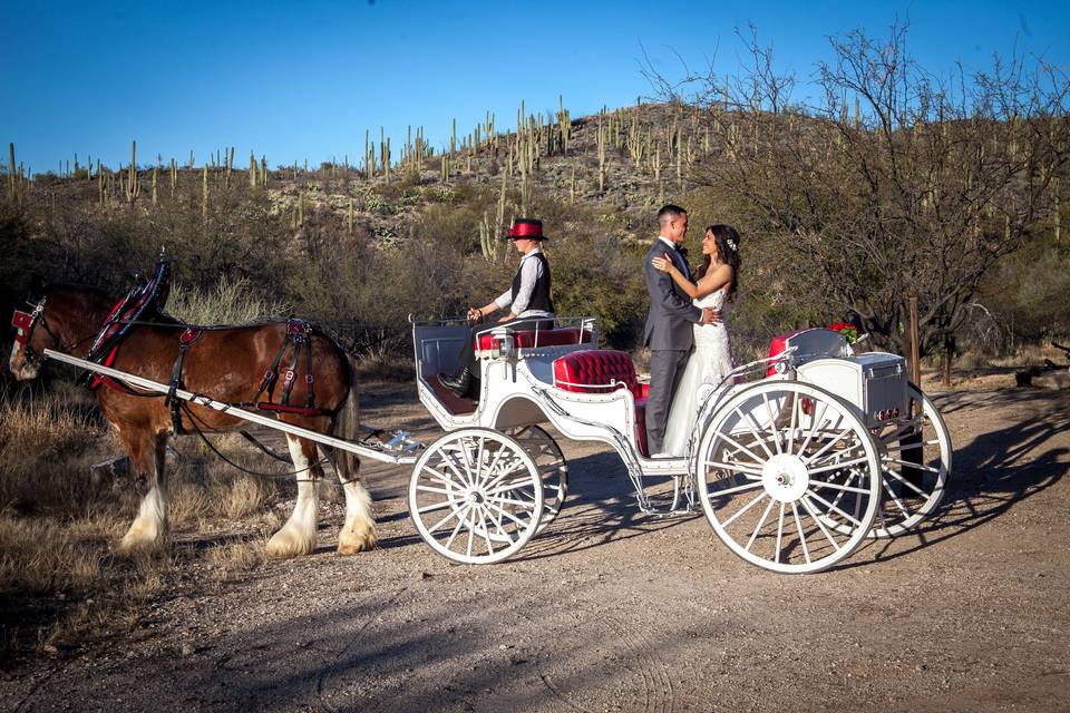 Newlyweds on the chaise