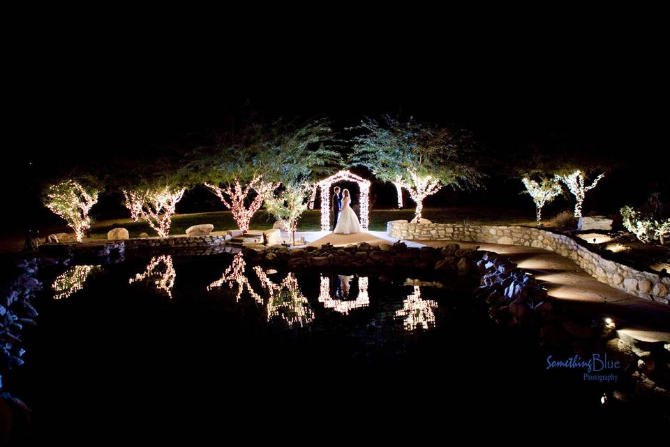 Evening lighting by the Pond