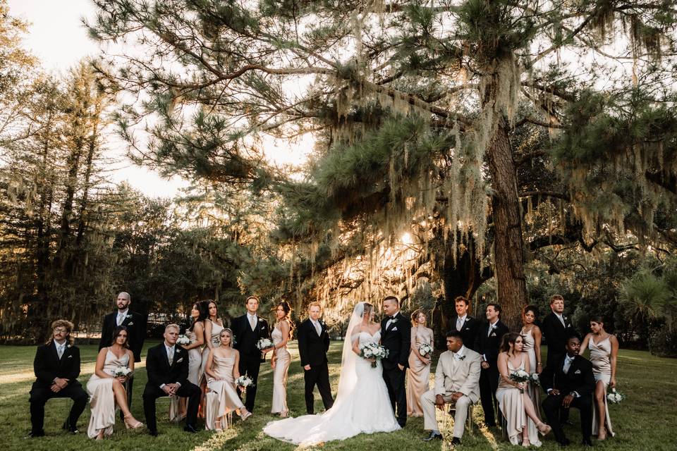 Wedding Party