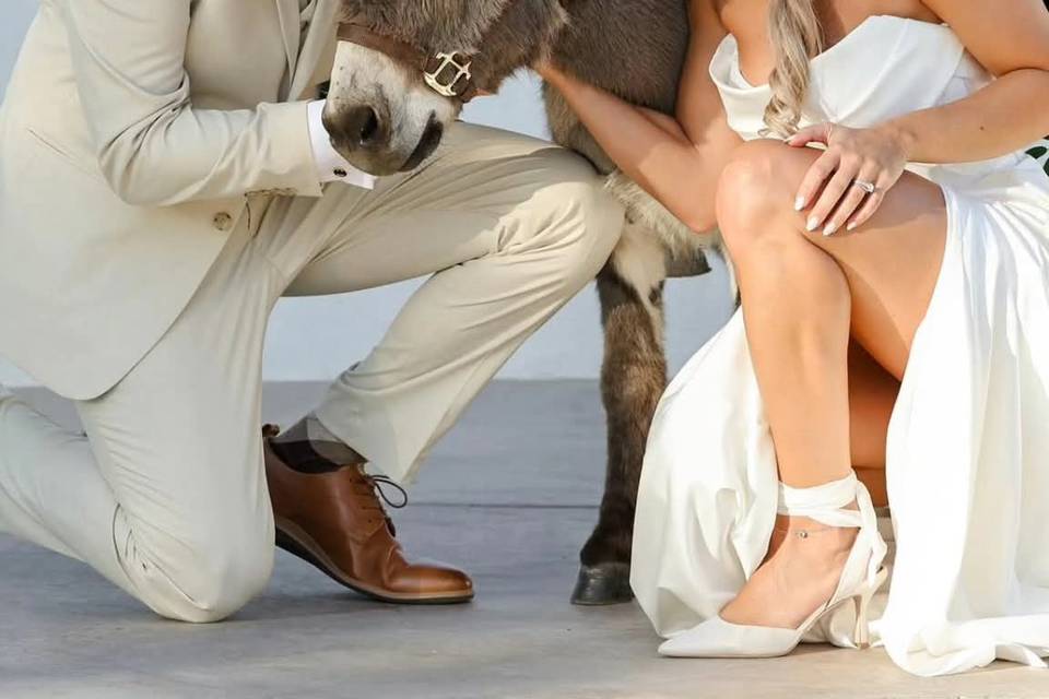 Scottsdale Weddings