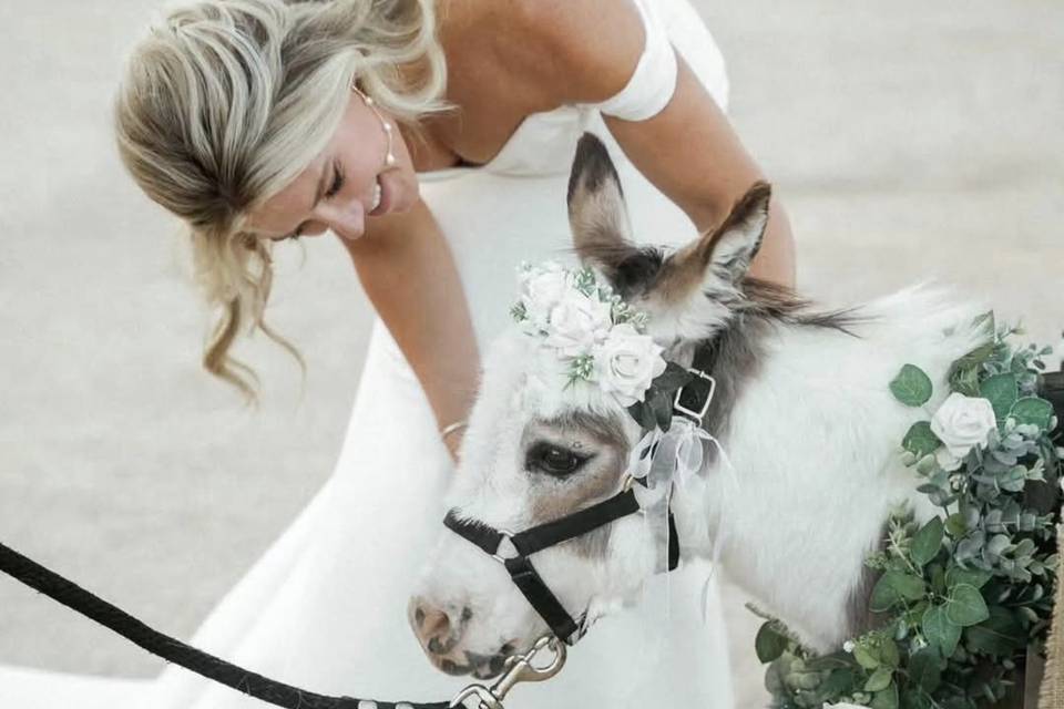 Wedding Venue