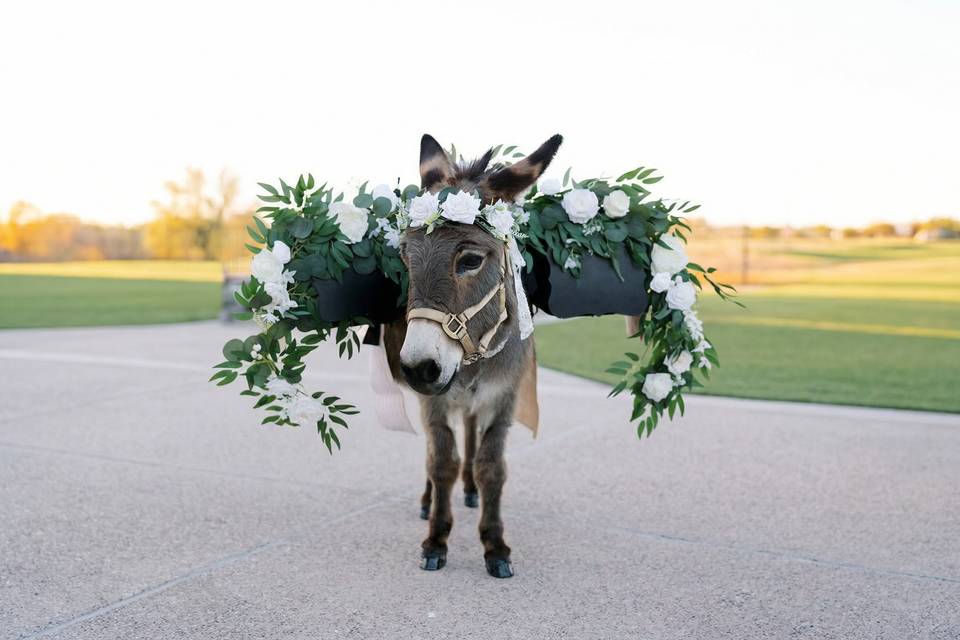 Beer Burro