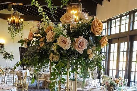 Dining Terrace Room