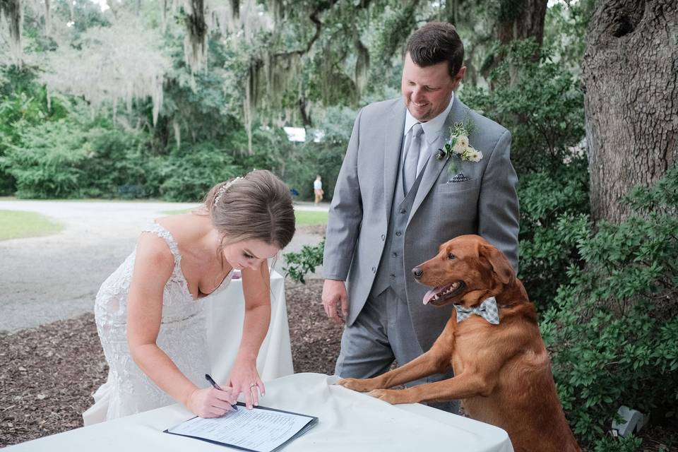 Florida Wedding Photographer