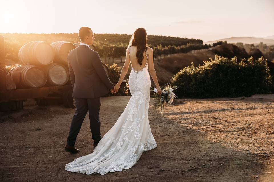 Vineyard lighting