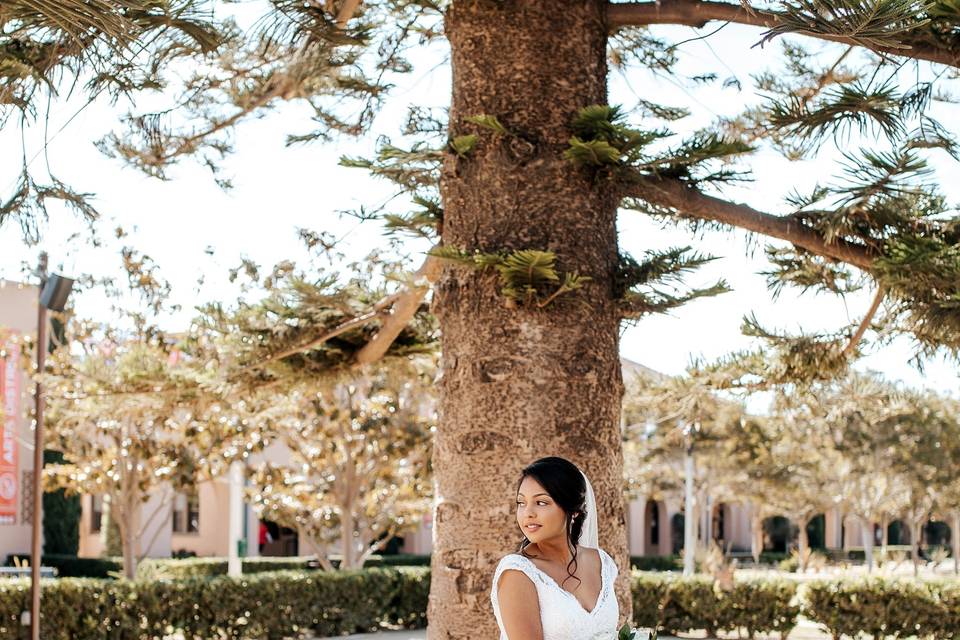 Featuring David's bridal dress