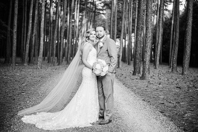 Kristi Marie's Photography