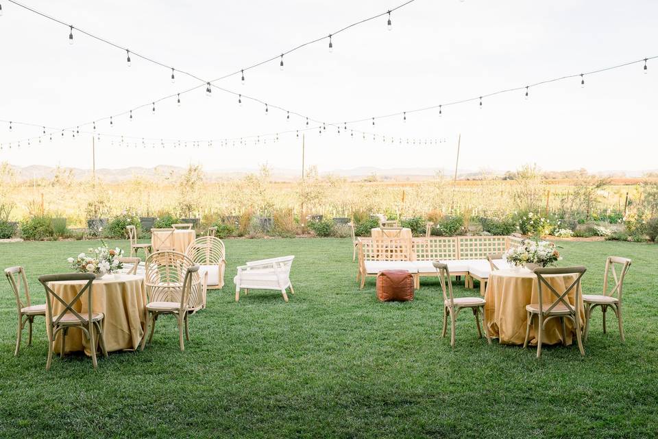 Outdoor reception with string lights