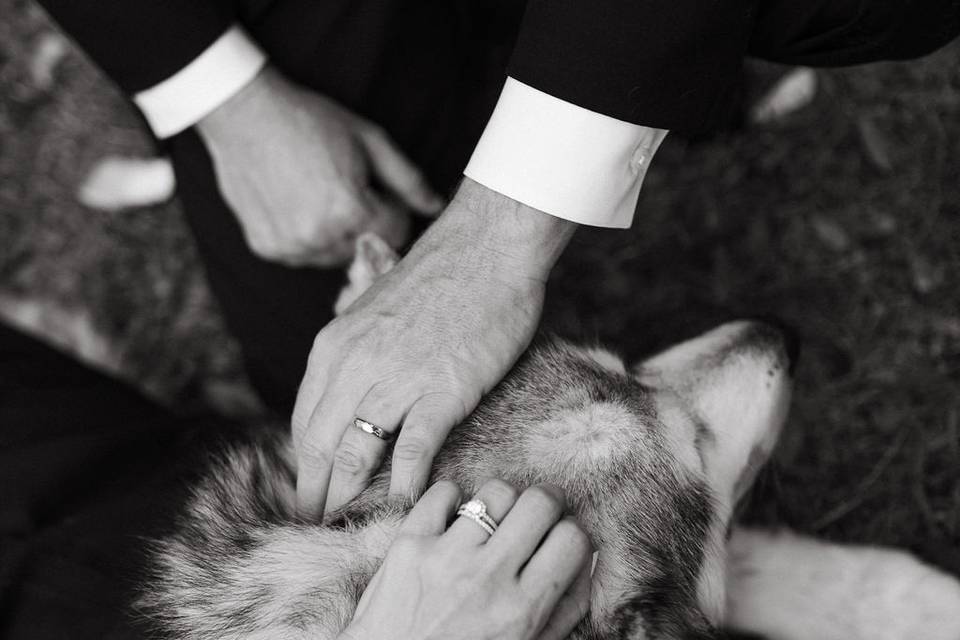 Kasey Powell Weddings
