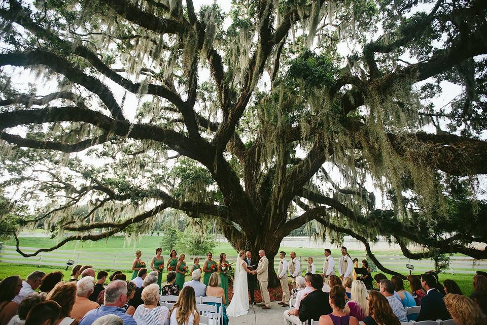 Apopka Wedding