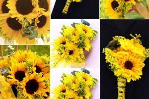 Sunflowers collection