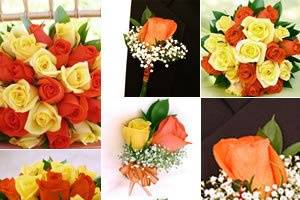Royal rose collection yellow and orange