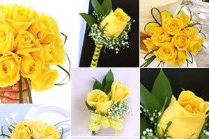 Royal rose collection yellow