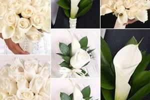 Rose and calla lilies collection white