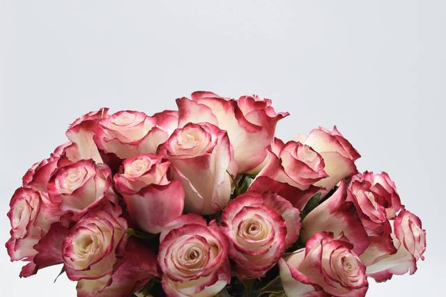 Centerpiece ideas