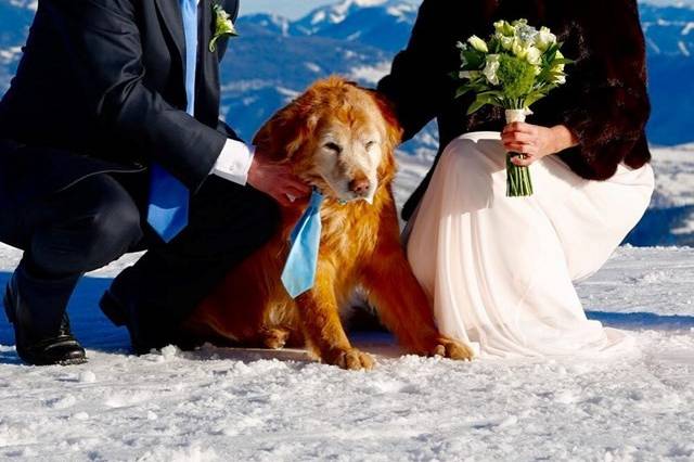 Beach wedding