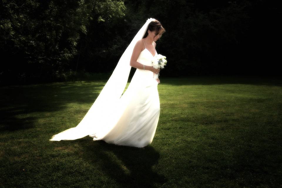 Bridal portrait