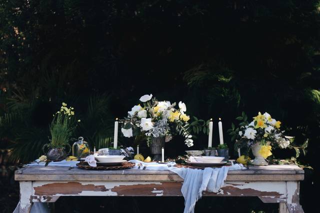 Moody spring tables cape