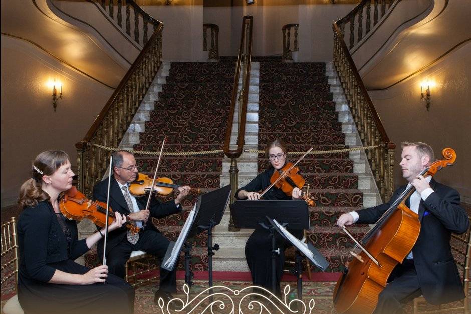 String quartet-orpheum theatre