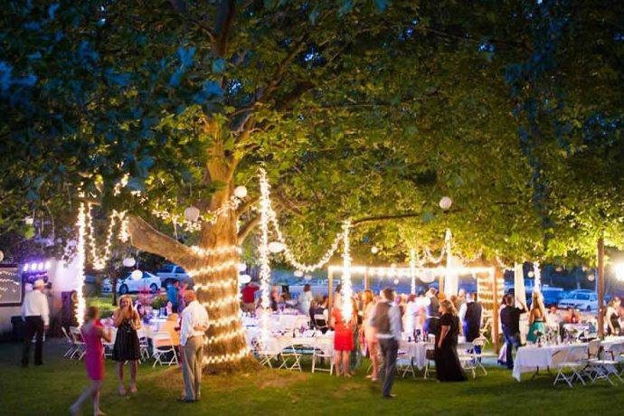 Wedding reception
