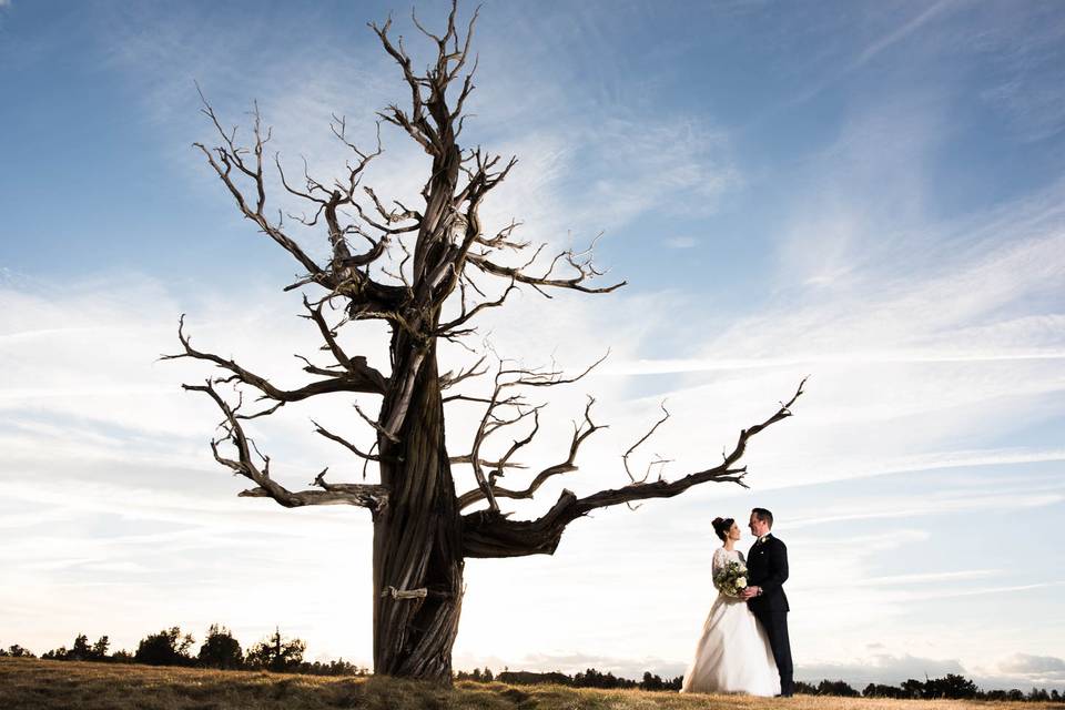 Pronghorn wedding